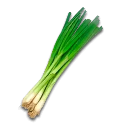 Зелена цибуля