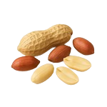 Арахис