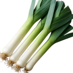 Лук порей